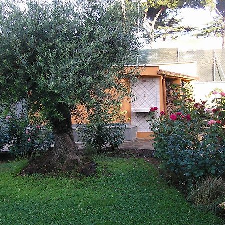 Bed and Breakfast Al Vecchio Olivo Frascati Exteriér fotografie