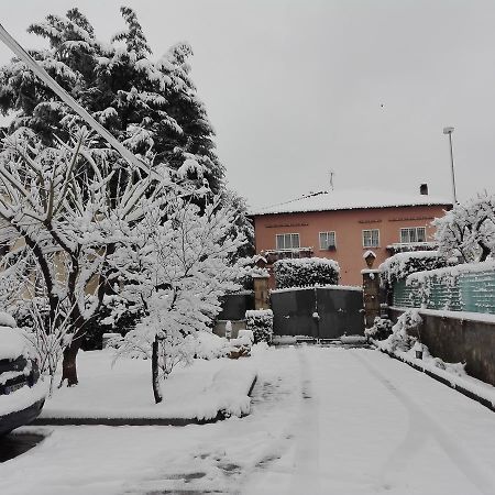 Bed and Breakfast Al Vecchio Olivo Frascati Exteriér fotografie