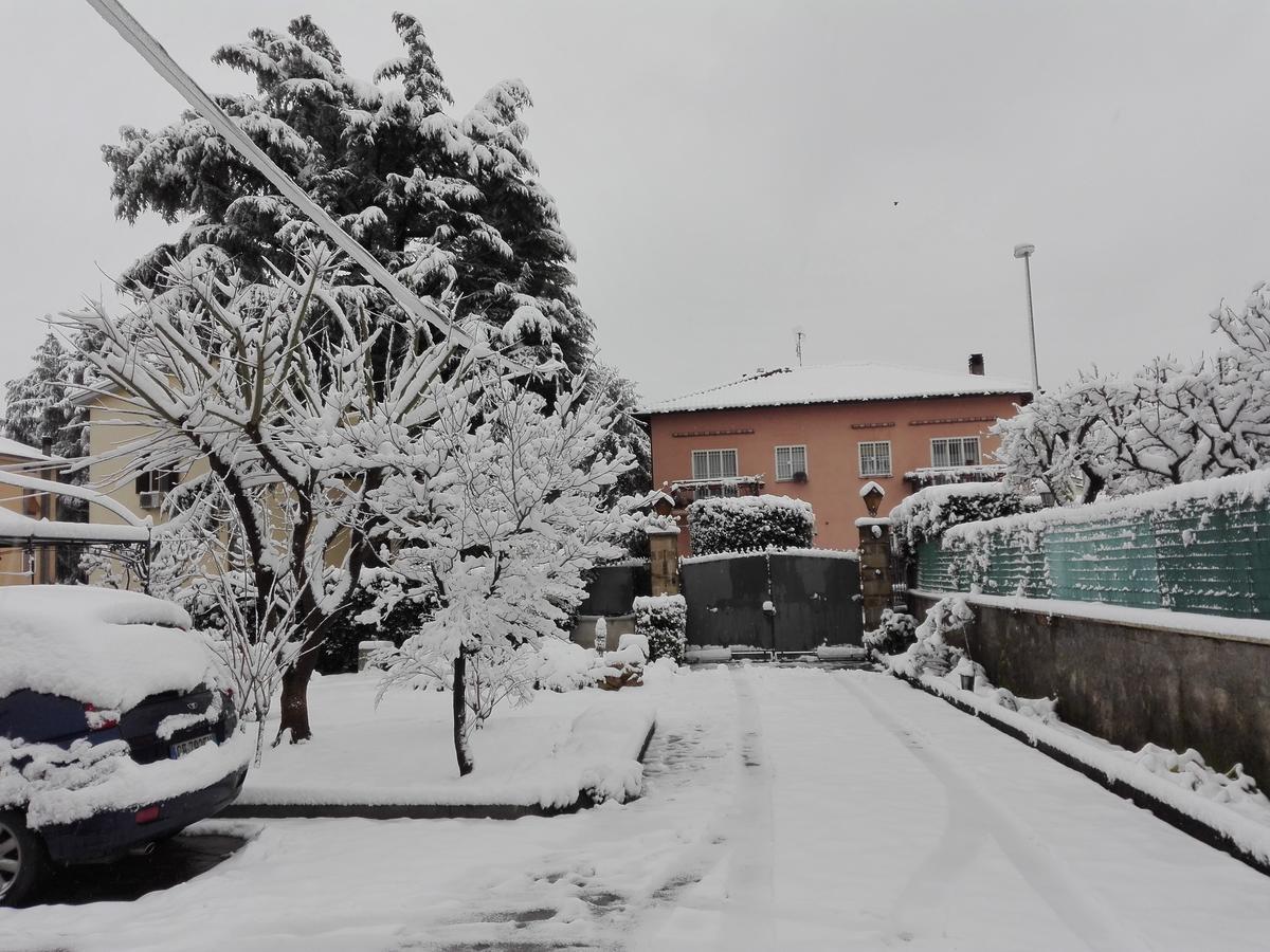 Bed and Breakfast Al Vecchio Olivo Frascati Exteriér fotografie