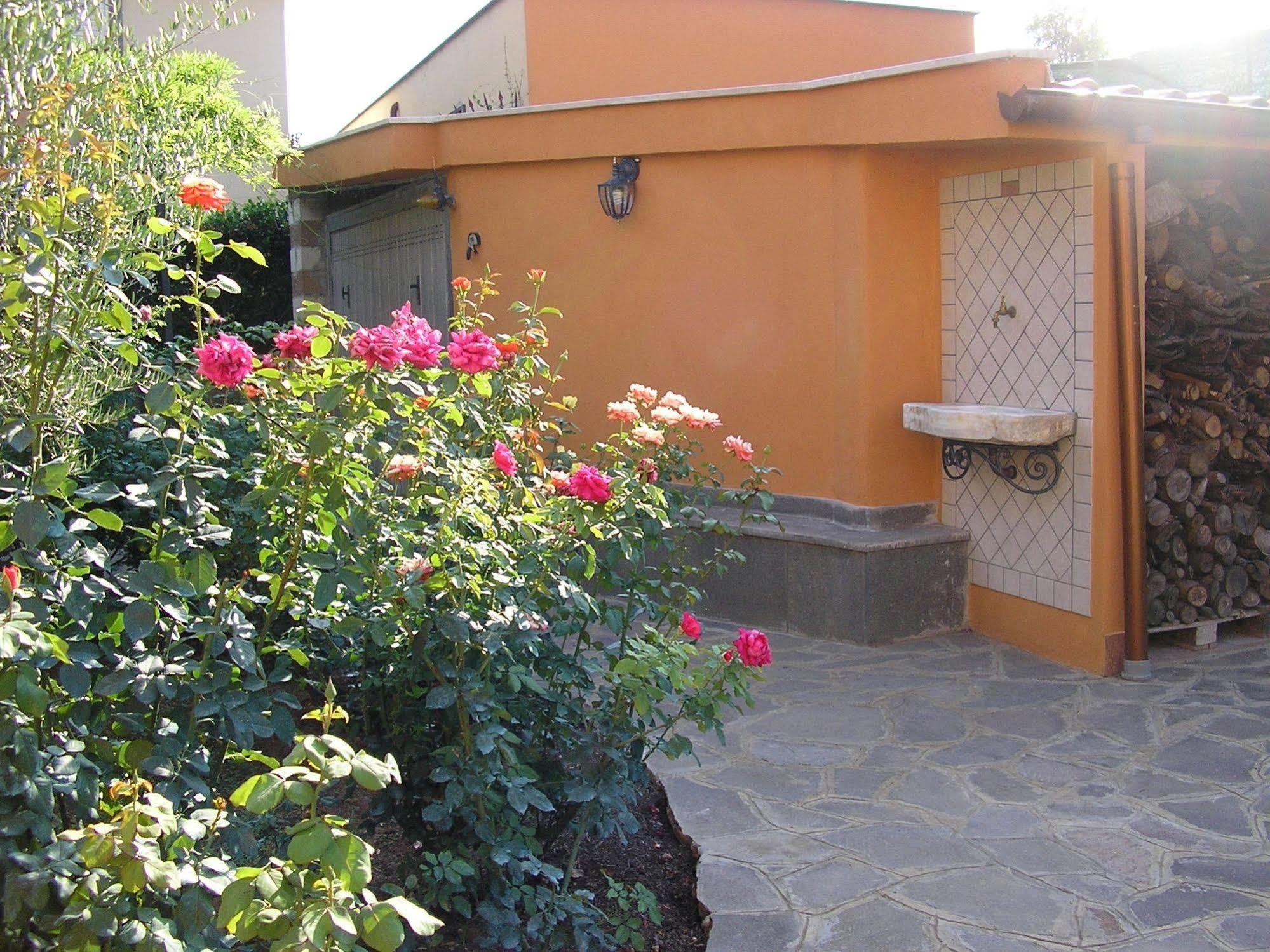 Bed and Breakfast Al Vecchio Olivo Frascati Exteriér fotografie