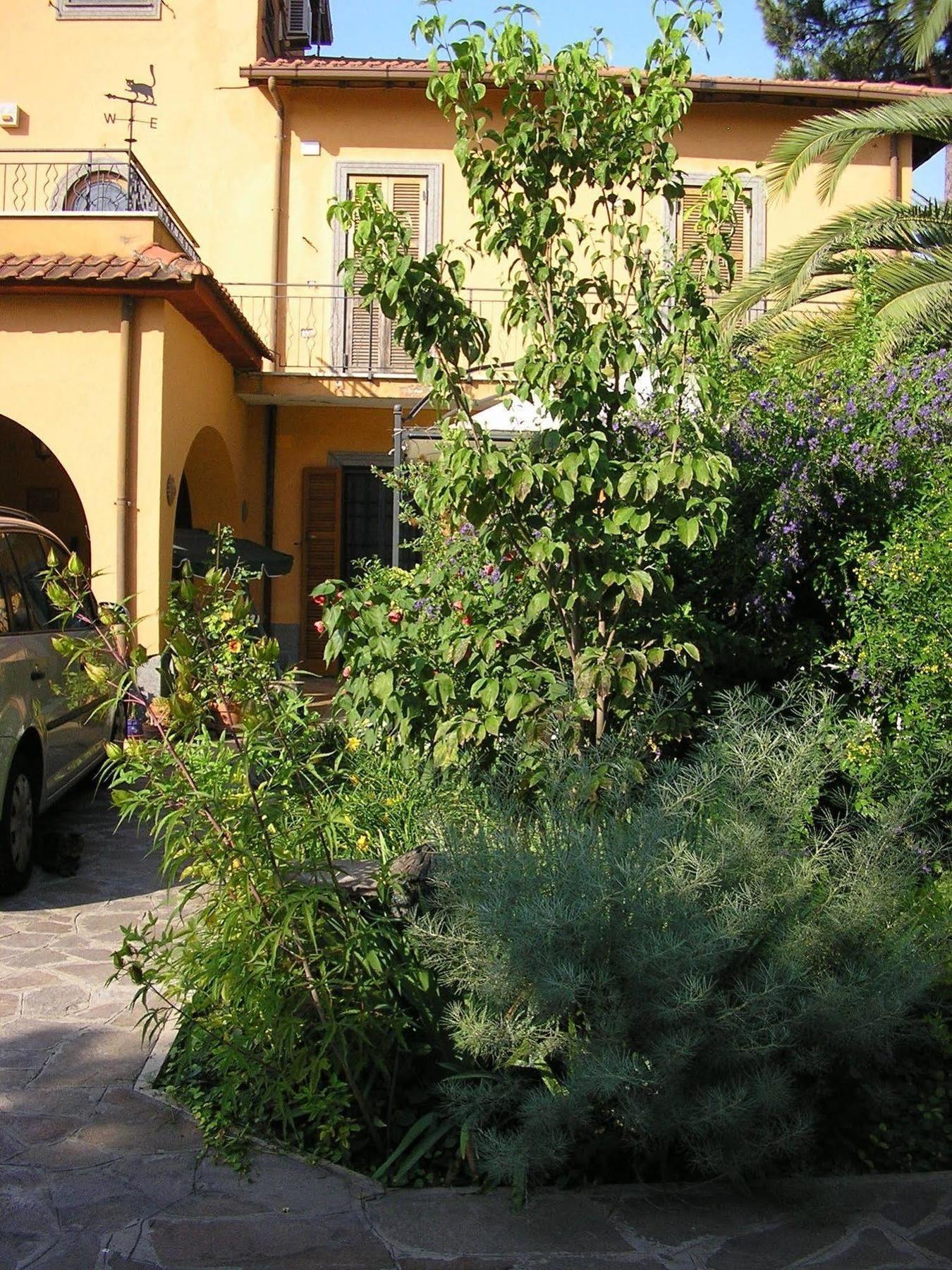 Bed and Breakfast Al Vecchio Olivo Frascati Exteriér fotografie