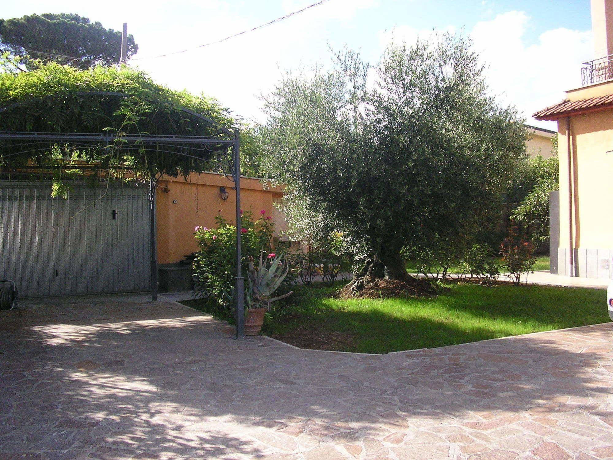 Bed and Breakfast Al Vecchio Olivo Frascati Exteriér fotografie